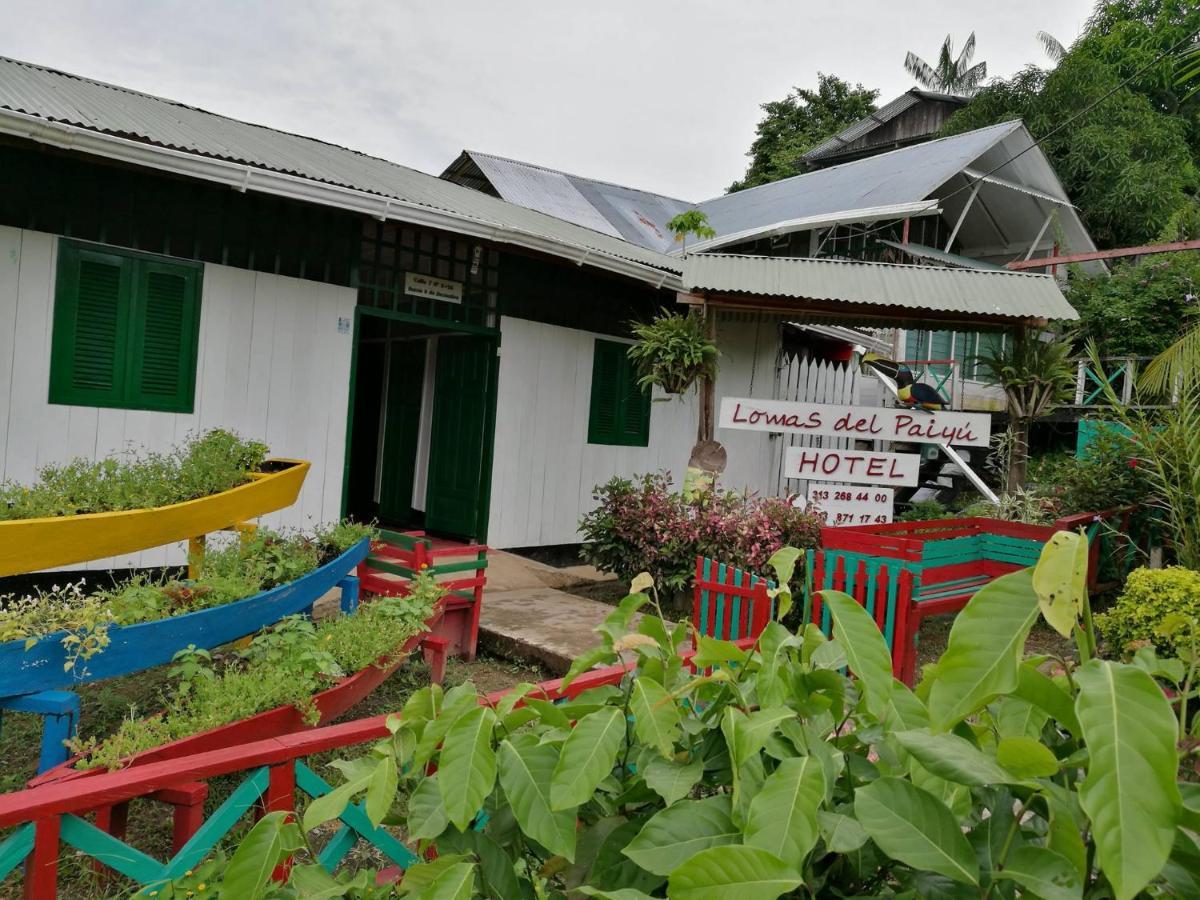 Hotel Lomas Del Paiyue Puerto Nariño Exteriér fotografie