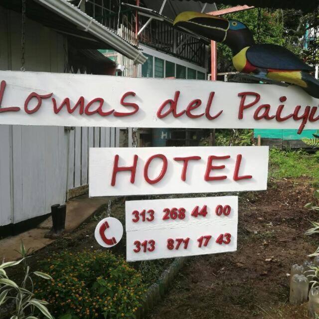 Hotel Lomas Del Paiyue Puerto Nariño Exteriér fotografie